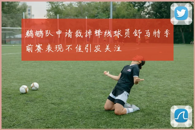 鹈鹕队申请裁掉锋线球员舒马特季前赛表现不佳引发关注