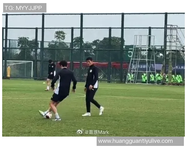 苗原透露泰山外援中卫选择在即更倾向苏超明星布斯里加入球队